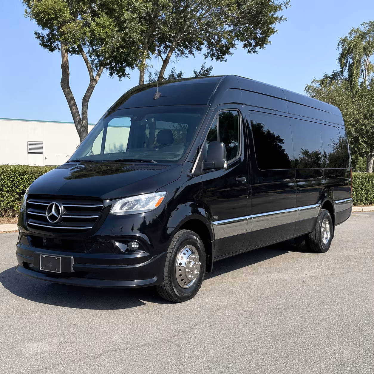 gilroy sprinter van with driver